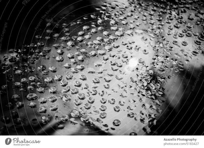 Schwarz-Weiß-Bild von nassem Glas. Nahaufnahme von Wassertröpfchen. Fenster Tröpfchen aktualisieren hell Licht Detailaufnahme schließen Regentropfen