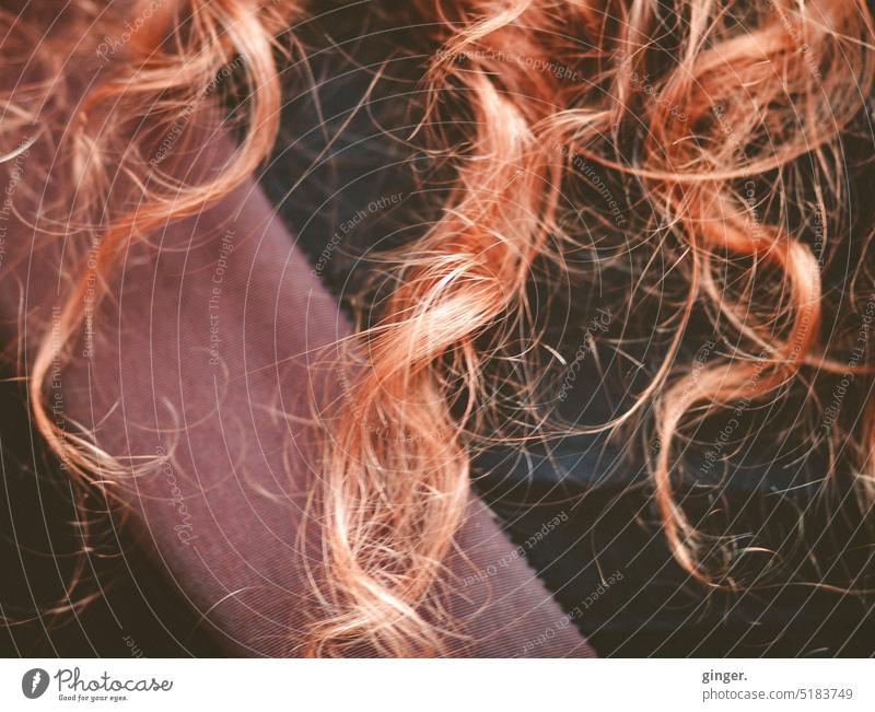 Locken Haare rot zerzaust langhaarig Farbfoto Haare & Frisuren struppig Wellen Detail krause Haare Gurt lebendig ungekämmt rötlich fransig Strähnen rotblond