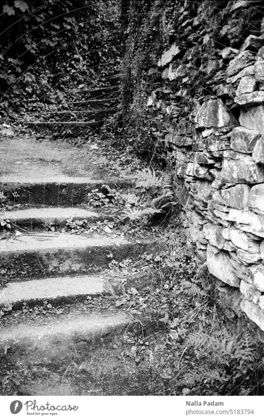 Monschau - Stairs 2 oben unten treppaufwärts hinauf Stein Geländer Stufe Treppe Schwarzweißfoto schwarzweiß Analogfoto analog