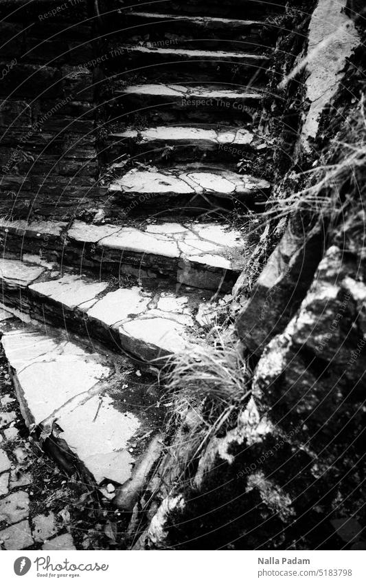 Monschau - Stairs 3 analog Analogfoto schwarzweiß Schwarzweißfoto Treppe Stufe Geländer aufwärts Stein hinauf treppaufwärts unten oben