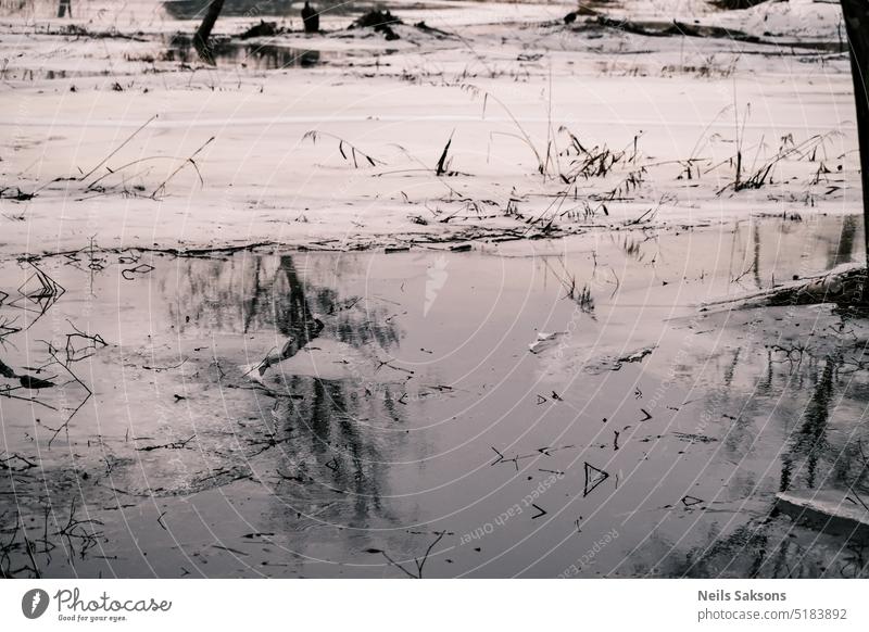 Leben in der Nähe von Sümpfen in der nassen Wintersaison Sumpfgebiet Teich Bäume Gras tief Gefahr Eis Wasser schön Natur Reflexion & Spiegelung offenes Wasser