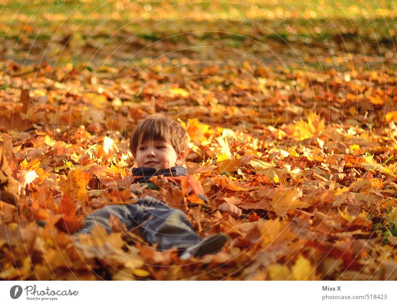 Versteckt Freizeit & Hobby Spielen Kinderspiel Garten Mensch Kleinkind Kindheit 1 1-3 Jahre 3-8 Jahre Natur Herbst Schönes Wetter Blatt Park Wiese Lächeln