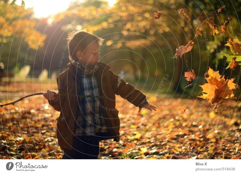 Herbst Freizeit & Hobby Spielen Kinderspiel Garten Mensch Junge 1 3-8 Jahre Kindheit Blatt Park Wiese Wald werfen Stimmung Freude Fröhlichkeit Lebensfreude