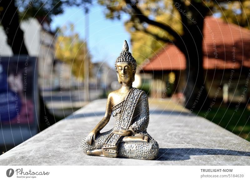 Kleine Buddha Figur an der Straße in Babelsberg Skulptur Stadt draußen Meditation Gelassenheit Straßenrand Buddhafigur Häuser Bäume Mauer sitzen meditieren