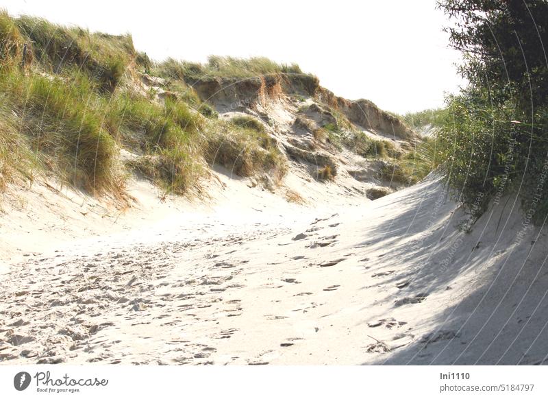 Dünenwanderung Insel Helgoland Weg Sand Spuren im Sand Strandhafer Sonnenschein Sträucher Schatten Schattenwurf