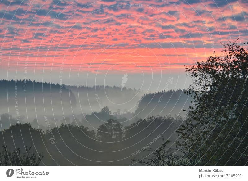 Sonnenaufgang über einem nebligen Wald. Morgendämmerung im Märchenwald mit dramatisch leuchtendem Himmel Natur brennender Himmel Nebel Herbstwald Bäume Ökologie