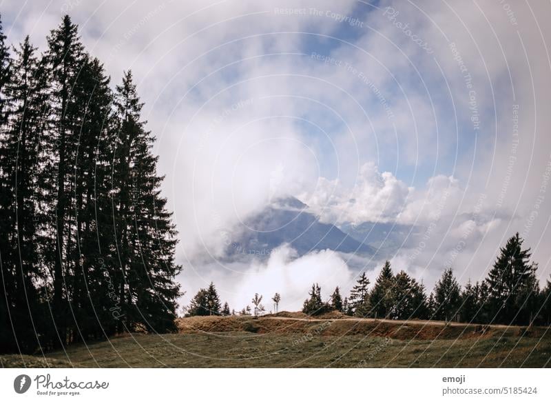 Wolken, Berge, Bäume wolken berge bäume alpen ausflug tourismus schweiz zentralschweiz aussicht rigi sommer tannenbau natur landschaft meteo wetter Meteorologie