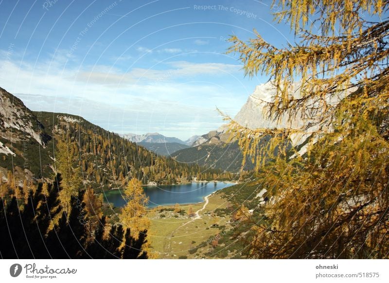 Seebensee Natur Landschaft Horizont Herbst Baum Alpen Berge u. Gebirge Zugspitze Gebirgssee Leben Reinheit einzigartig Idylle Umwelt Ferne Farbfoto mehrfarbig