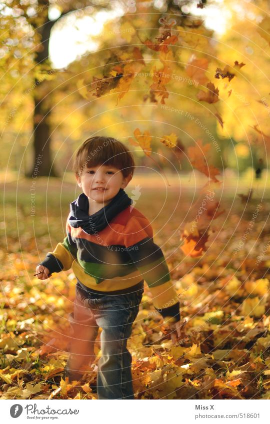Auf die Mama Freizeit & Hobby Spielen Kinderspiel Mensch Kleinkind Kindheit 1 1-3 Jahre 3-8 Jahre Herbst Schönes Wetter Blatt Park lachen werfen frech niedlich