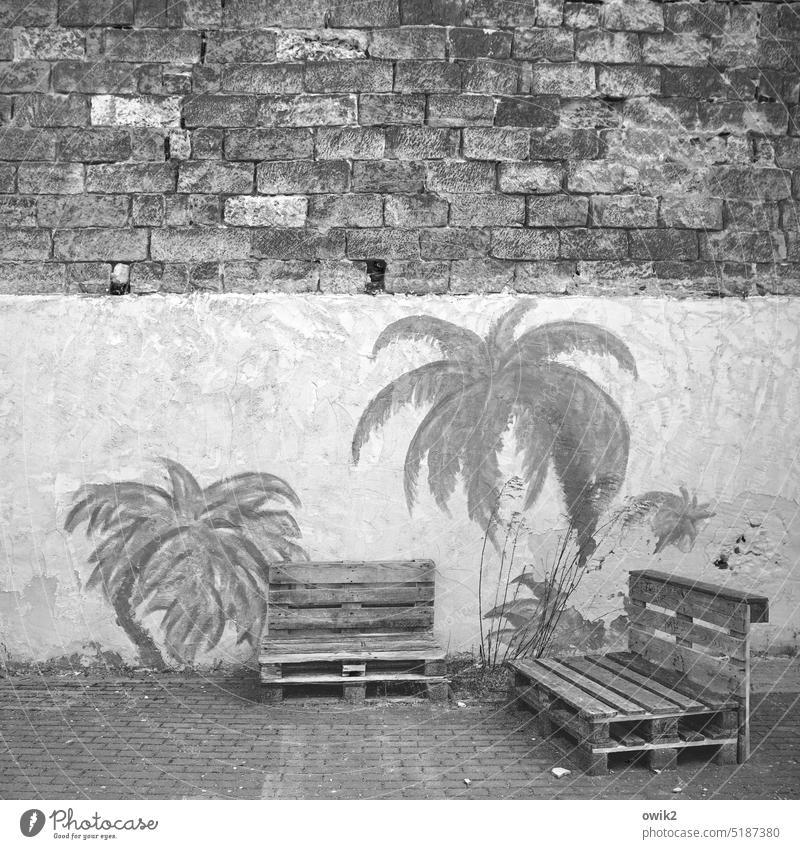 Kuschelecke Paletten einfach Holz Sitzgelegenheit Urlaubsstimmung Idylle Außenaufnahme Menschenleer Palme Gemälde Kunstwerk Straßenkunst Palmenwedel Fernweh