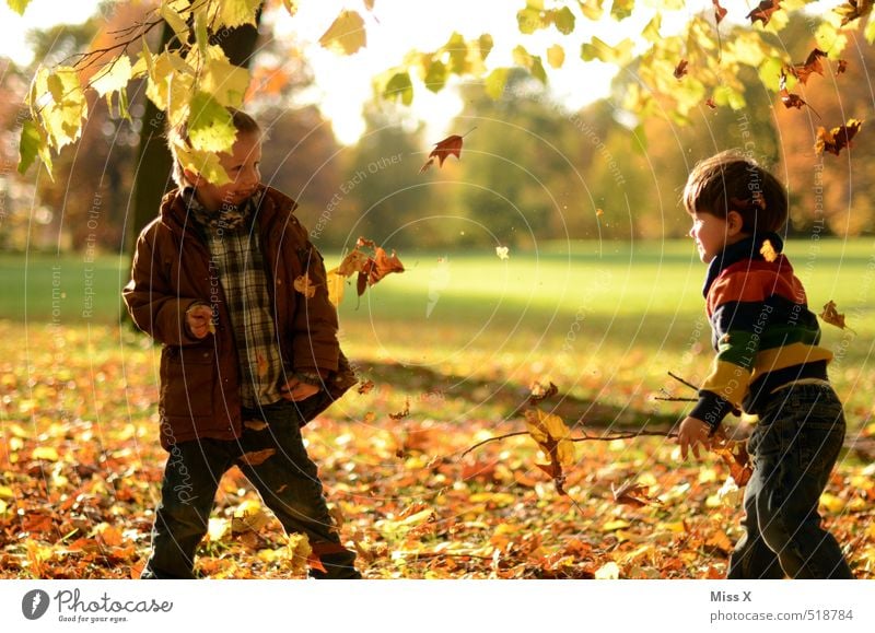 Auf den Bruder Freizeit & Hobby Spielen Kinderspiel Mensch Kleinkind Geschwister Freundschaft Kindheit 2 1-3 Jahre 3-8 Jahre Natur Herbst Schönes Wetter Blatt