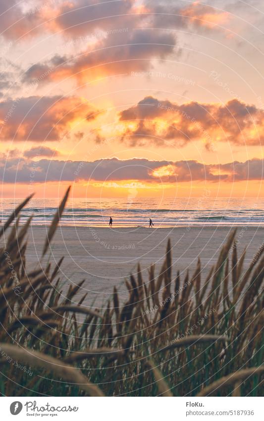 Wunderschöner Abend am Strand in Dänemark | 1000 Küste Nordseeküste Ferien & Urlaub & Reisen Meer Himmel Natur Sand Landschaft Dünen Wolken Sonnenuntergang
