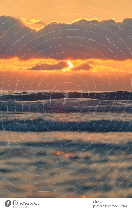 Sonnenuntergang über der Nordsee Meer Wasser Wellen Strand Küste Dänemark Himmel Ferien & Urlaub & Reisen Wolken Außenaufnahme Horizont Natur Landschaft