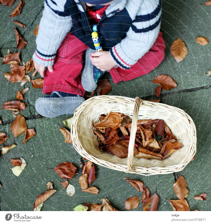 Herbst Freizeit & Hobby Kinderspiel Baby Kindheit Leben Körper 1 Mensch 0-12 Monate Natur Herbstlaub Blatt Garten Park Bekleidung Hose Jacke Schuhe Korb Bast