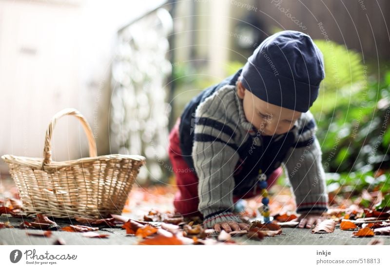 Herbst Freude Gesundheit Sinnesorgane Freizeit & Hobby Spielen Kinderspiel Ausflug Spazierweg Garten Baby Junge Kindheit Leben 1 Mensch 0-12 Monate Natur Blatt