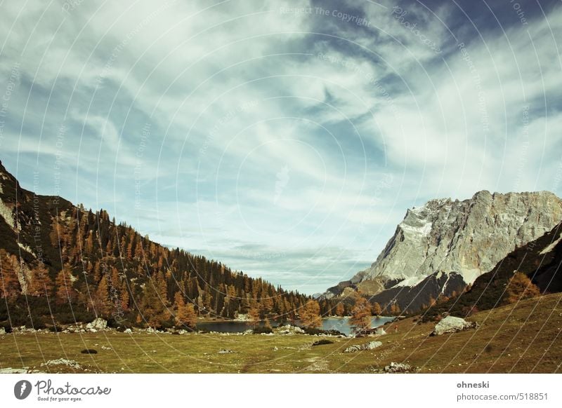 Zugspitze Natur Landschaft Herbst Baum Gras Wald Alpen Berge u. Gebirge Gipfel wandern Ferne Farbfoto Außenaufnahme Menschenleer Textfreiraum oben