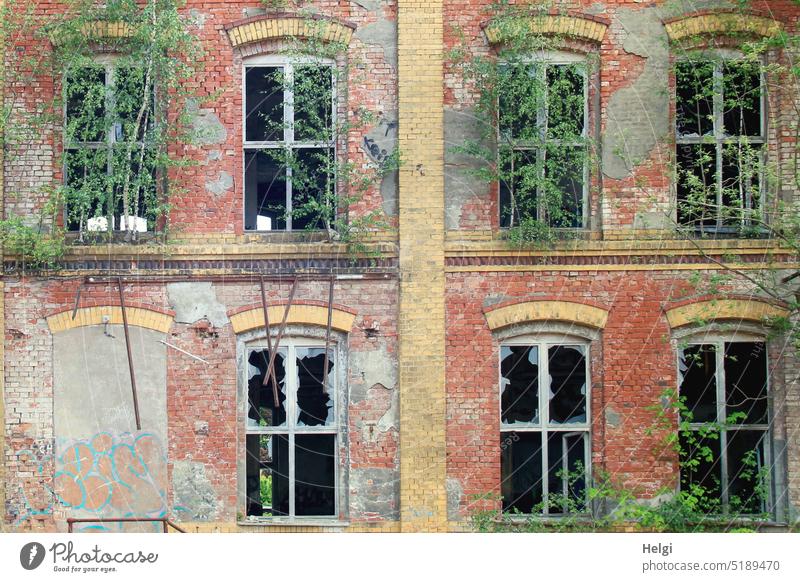 Windows 7  - Fassade eines alten maroden Gebäudes mit zerbrochenen Fenstern historisch Architektur kaputt Backstein Vergänglichkeit Zerstörung Verfall Wand
