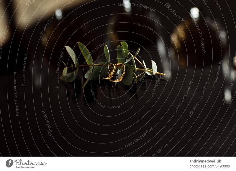 goldene Eheringe auf dunklem Hintergrund mit Eukalyptuszweig, Nahaufnahme. selektiver Fokus Ring Liebe Symbol Schmuck Hochzeit schön weiß hochzeitlich Paar