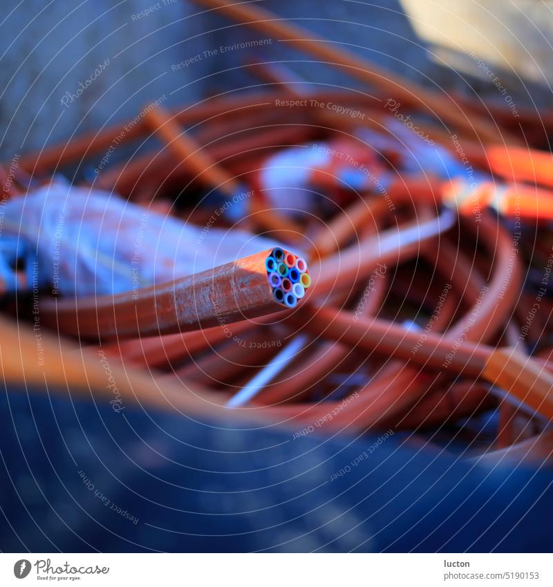 Buntes Kabelende inmitten anderer Kabel Kabelsalat Glasfaser rot blau Technik & Technologie Elektronik sonnig geringe Tiefenschärfe Nahaufnahme fokus