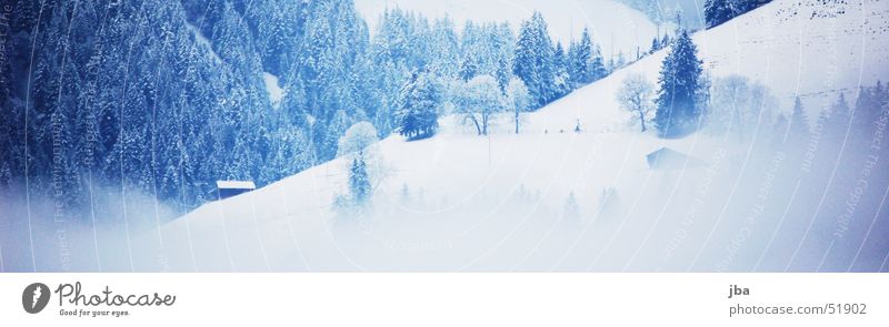 im winter Winter Nebel Tanne Berghütte Berghang Schnee weiß Saanenland Rellerli Abländschen beschneit blau