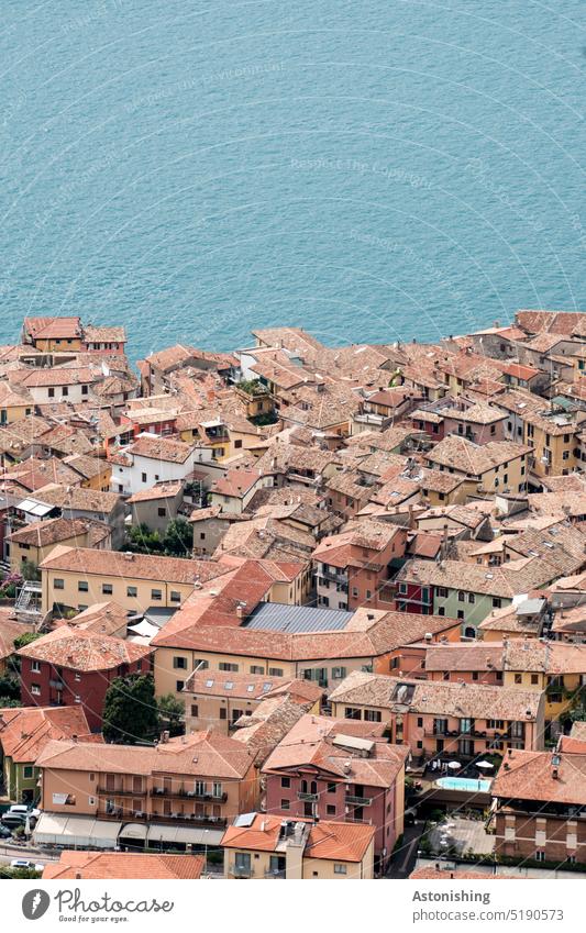 Block auf die Dächer von Malcesine Gardasee Aussicht Landschaft See Natur Dach Wasser groß Ufer Stadt Klainstadt Italien oben unten blau rot Farbfoto
