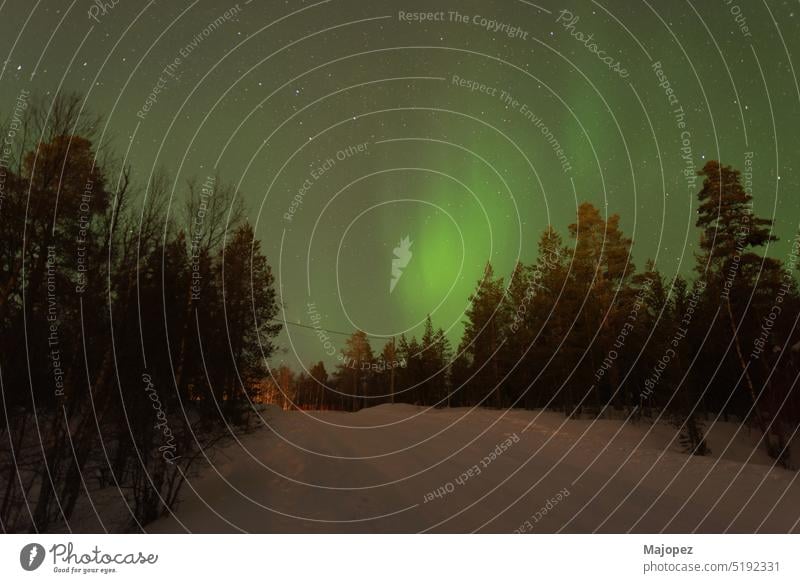 Schöne grüne Nordlichter hinter einem verschneiten Nadelwald. polar Finnland Lappland Winter abstrakt erstaunlich arktische Astronomie Aurora Hintergrund schön