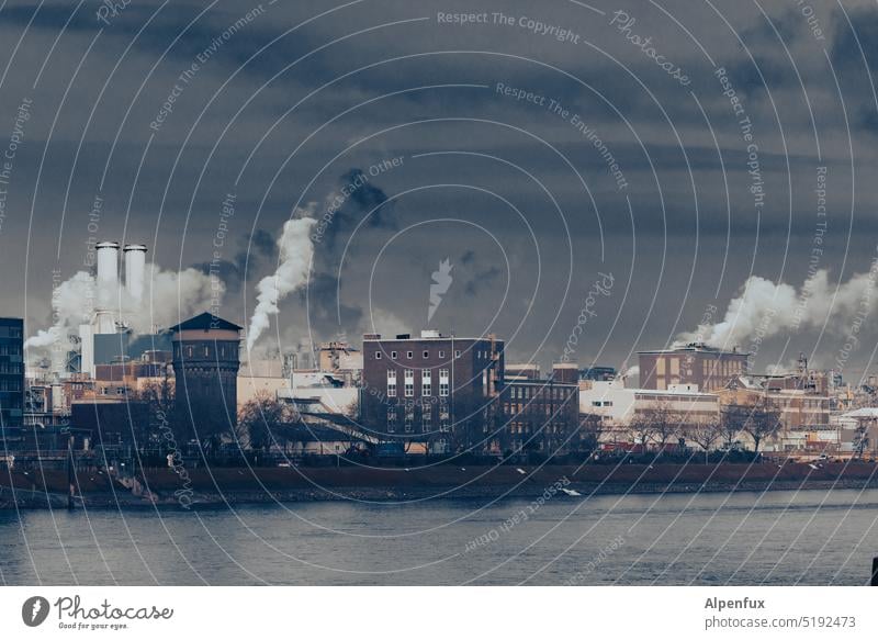 Mondays for Industries Qualm Rauch Umweltverschmutzung Luftverschmutzung Schornstein Klimawandel Energiewirtschaft Umweltschutz Abgas Himmel Emission