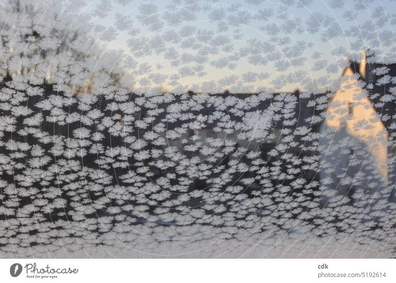 Ein Wintermorgen. Eisblumen am Fenster. Das Nachbarhaus wird von der Morgensonne beschienen. kalt eiskalt Frost Eiskristalle Kristallstrukturen gefroren