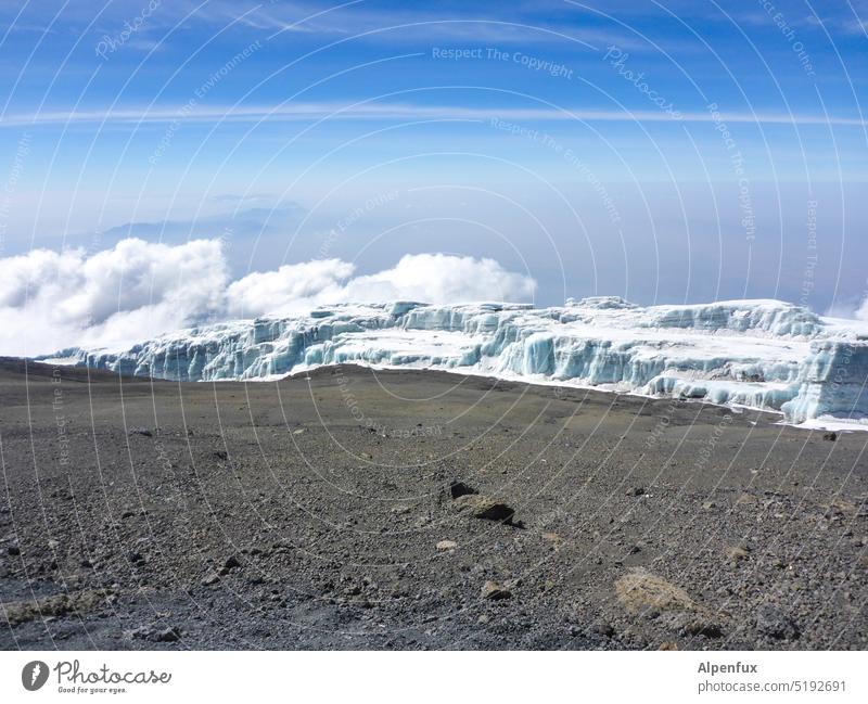 außerirdisch Gletschereis Gletscherschmelze Klimawandel Kilimanjaro Vulkansand unwirklich klimakrise Erderwärmung außergewöhnlich Schönes Wetter Gipfel