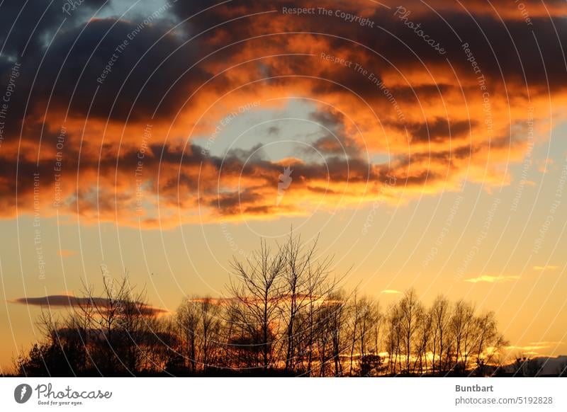 bombastischer Wolkenkreis über Baumgruppe im Abendrot Sonnenuntergang Himmel Farbfoto Landschaft Schönes Wetter Umwelt Licht Sonnenlicht Horizont orange