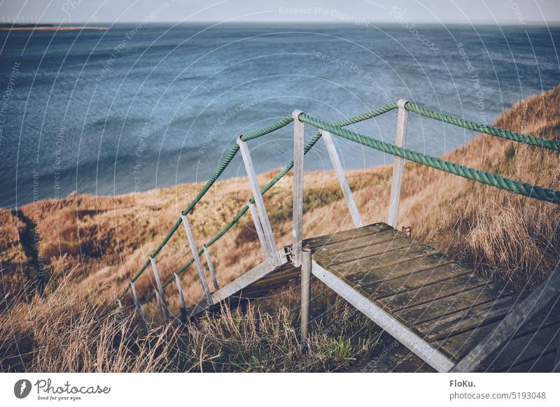Treppe am Limfjord in Dänemark Lemvig Küste Fjord Steilküste Wasser Natur Meer Landschaft Ferien & Urlaub & Reisen Himmel Farbfoto Außenaufnahme Strand Nordsee