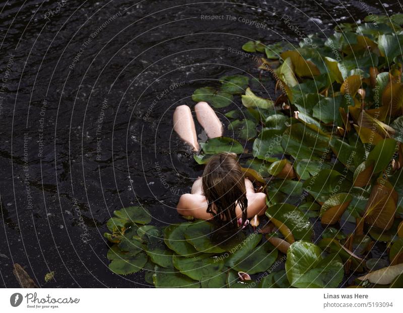 Eine wunderschöne nackte Frau nimmt ein Bad in diesem dunklen schlammigen Wasser. Seerosen umgeben ihren schönen sexy Körper. Ein nacktes Model fühlt sich wohl und ist frei von jeglicher Kleidung.