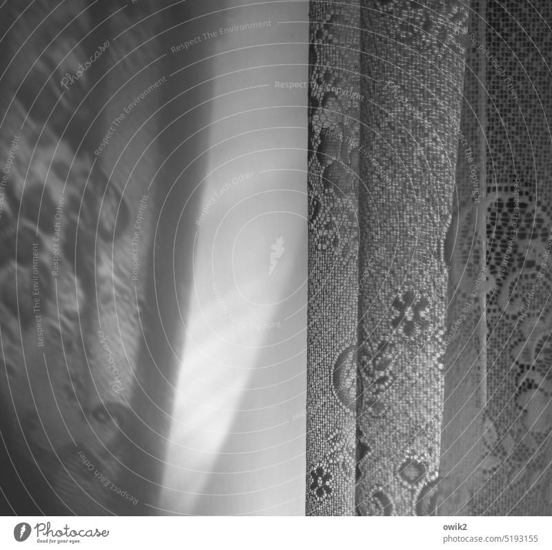 Rideau Gardine Sichtschutz Blümchenmuster Sonnenlicht Licht Schatten Muster einfach Vorhang Einsamkeit Deko Faltenwurf Traurigkeit Textilien Trauer