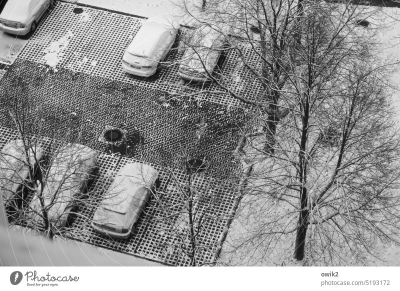 Gefrierfach Stellplätze Parkplatz parken Autos PKWs Winter Schnee Außenaufnahme Detailaufnahme Vogelperspektive Schwarzweißfoto friedlich Idylle Stadt
