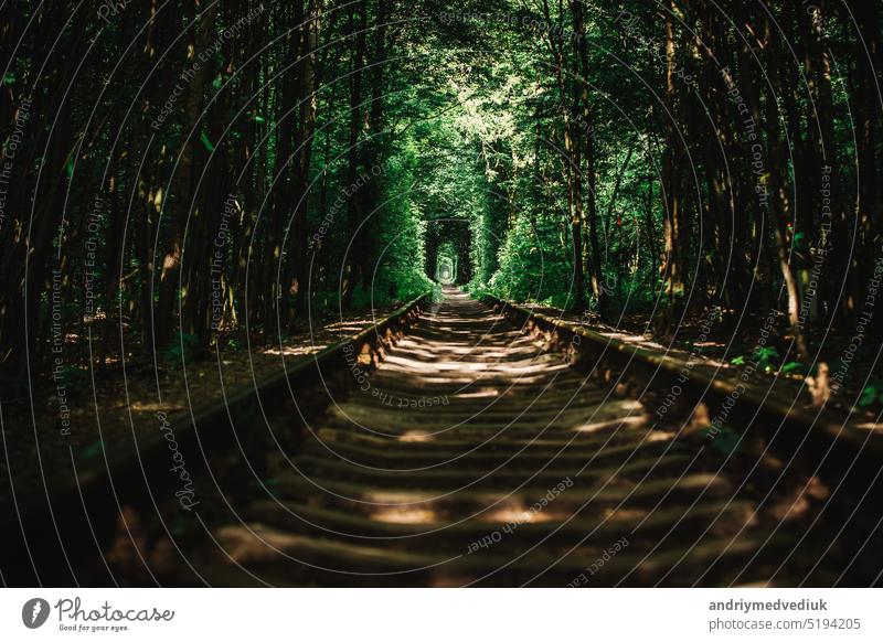 Eisenbahnattraktion von Klevan - Liebestunnel mit grünen Wänden im Gebiet Riwne, Ukraine Stollen reisen Sommer Natur natürlich Landschaft Wald Baum schön alt