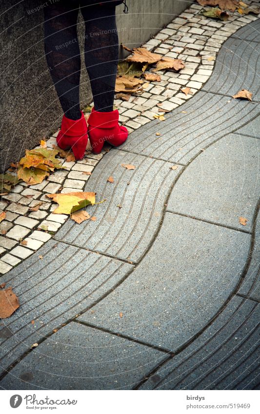 Herbstschick Lifestyle elegant Stil Junge Frau Jugendliche Beine 1 Mensch Herbstlaub Fußgänger Fußweg Strumpfhose Damenschuhe stehen ästhetisch positiv Erotik