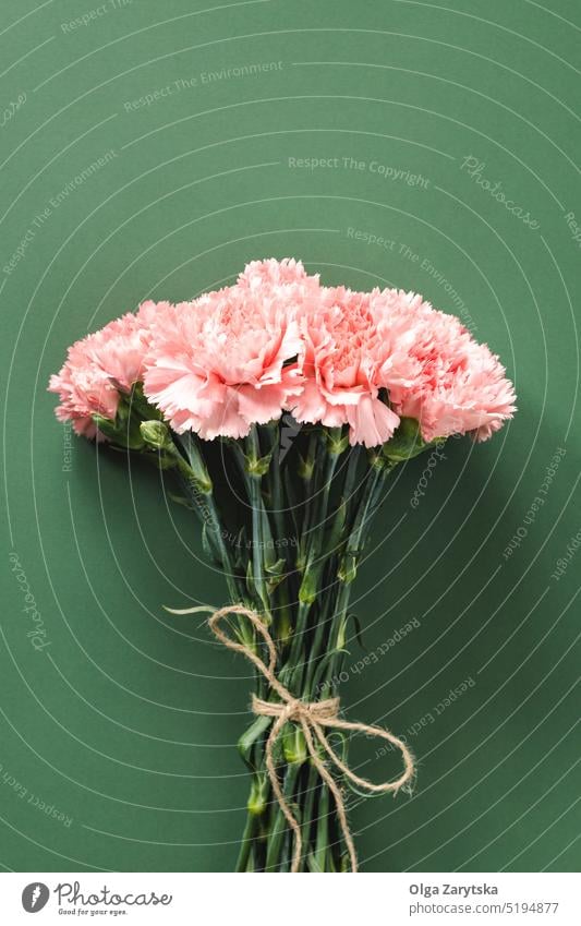 Bouquet von rosa Nelken Blume auf grünem Hintergrund. Mutter Tag Blumenstrauß Muttertag Postkarte abschließen Blütezeit Gruß Draufsicht flache Verlegung