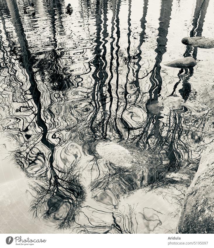 Wasseroberfläche in Bewegung, Bäume, Steine und zwei Enten Teich See Spiegelung Seeufer Natur Reflexion & Spiegelung Außenaufnahme