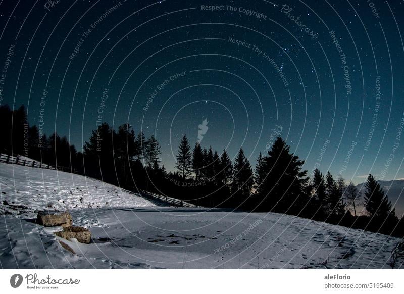 Gefrorener See unter den Sternen sternenklare Nacht Nachthimmel Sternenhimmel Natur zugefrorener See Silhouette Bäume am Horizont Schnee Schneelandschaft