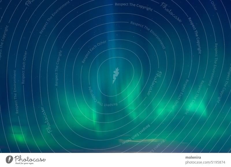 Grüne Aurora borealis am Nachthimmel Astronomie nördlich Norden Licht Natur Stern Himmel polar Nordlicht Winter grün solar Wind leuchten keine Menschen Estland