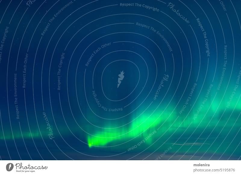 Grüne Aurora borealis am Nachthimmel Astronomie nördlich Norden Licht Natur Stern Himmel polar Nordlicht Winter grün solar Wind leuchten keine Menschen Estland