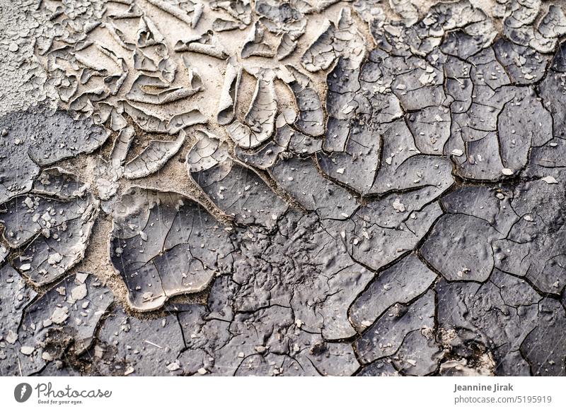 Ausgelaugt - Auf der Kippe Strukturen & Formen Oberfläche Altern Trockenheit Detailaufnahme ausgetrocknet Dürre Klimawandel Waldboden Menschenleer Riss Umwelt