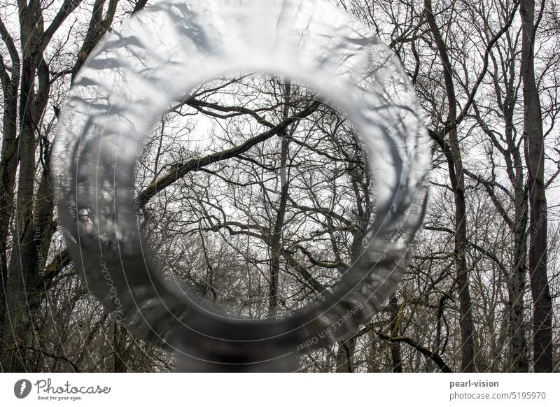 Hörtrichter Trichter Reflexion & Spiegelung Wald Bäume Außenaufnahme Farbfoto Natur Menschenleer Metall