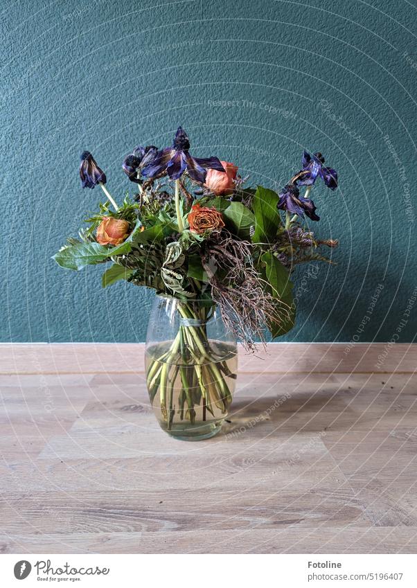 Eine Vase mit vertrockneten Blumen steht auf dem Boden vor einer petrolfarbenen Wand. Sieht doch aus wie ein Stillleben oder? Farbfoto Innenaufnahme Blühend