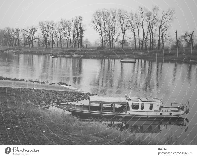 Ausgetuckert Flussufer Elbe Herbst Horizont Landschaft Umwelt Natur Verkehr Verkehrsmittel Schifffahrt Kahn warten liegen Gelassenheit geduldig Idylle ruhig