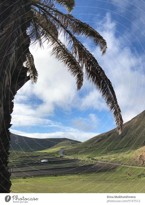 Palme und ruhender Vulkan auf Lanzarote, Spanien. Scenic Highway in den Bergen an einem sonnigen Tag. Landschaft der Straße mit Blick auf die Berge und blauen Himmel mit weißen Wolken.