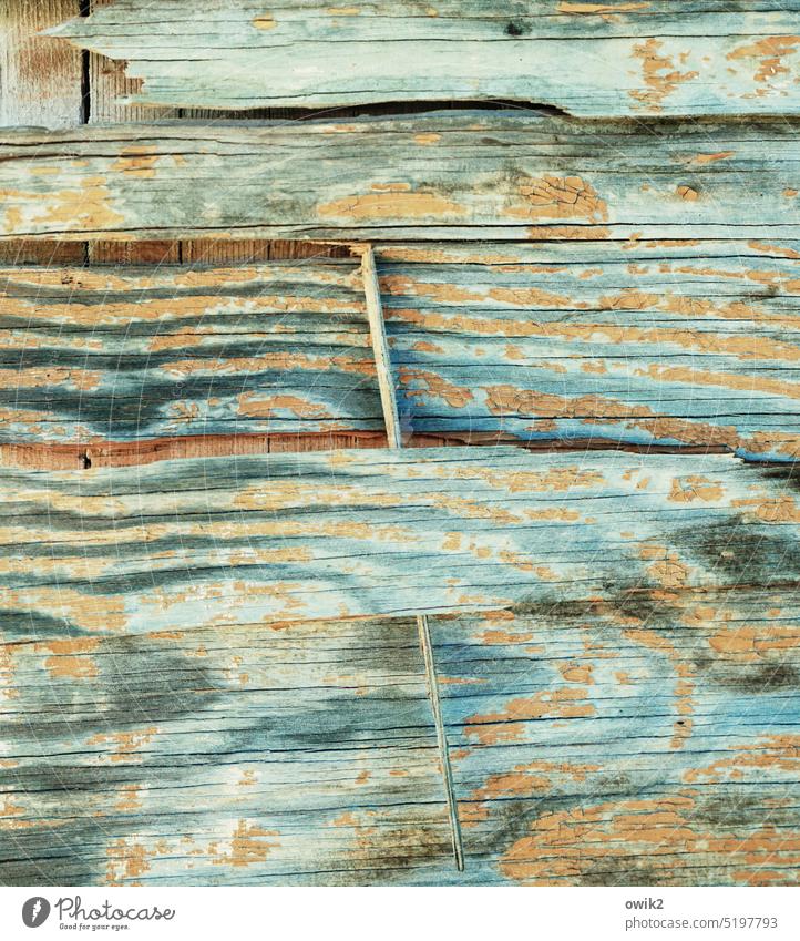 Trockenbau Gartenlaube Holzwand Holzmaserung Furnier Struktur Bretter Bretterwand Gebäude Wand Fassade Abnutzung Reste Schaden Muster Menschenleer Farbfoto
