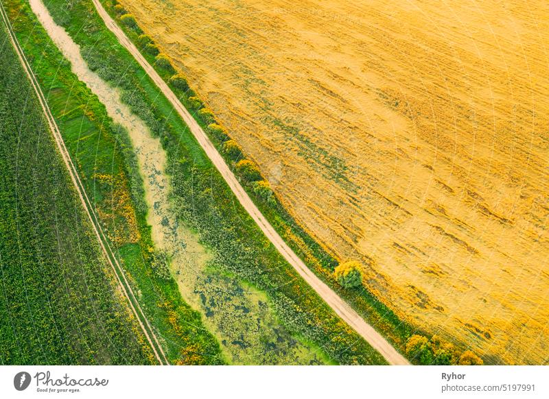 Luftaufnahme von Landstraße durch Sommer ländliche Feld. Straße zwischen Maisplantage und junger Weizenlandschaft ländliche Landschaft landwirtschaftlich grün