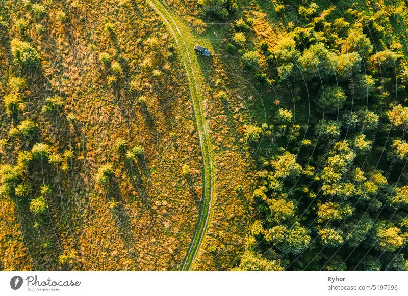 Luftaufnahme von Auto in der Nähe von Landstraße Thgrough Wald und grüne Wiese Landschaft in sonnigen Sommermorgen. Top View of Beautiful European Nature From High Attitude