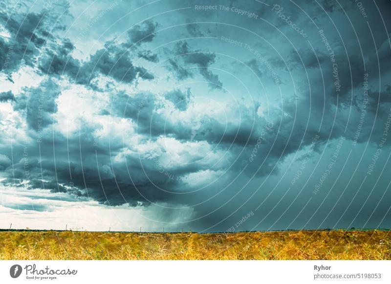 Dramatische Rainy Sky With Rain Clouds On Horizon Above Rural Landscape Field. Landwirtschaft und Wettervorhersage Konzept. Weißer Senf Feld. Ackerbau schön